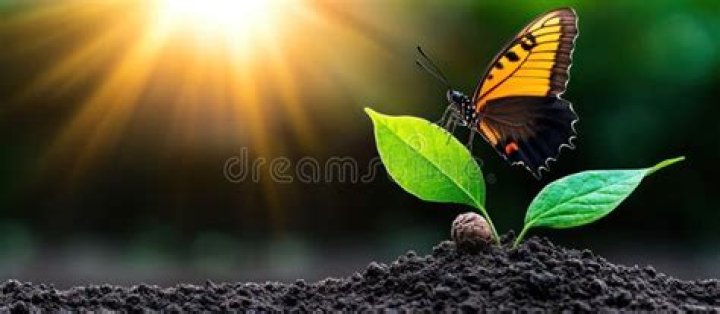 A Journey Of Growth And Transformation