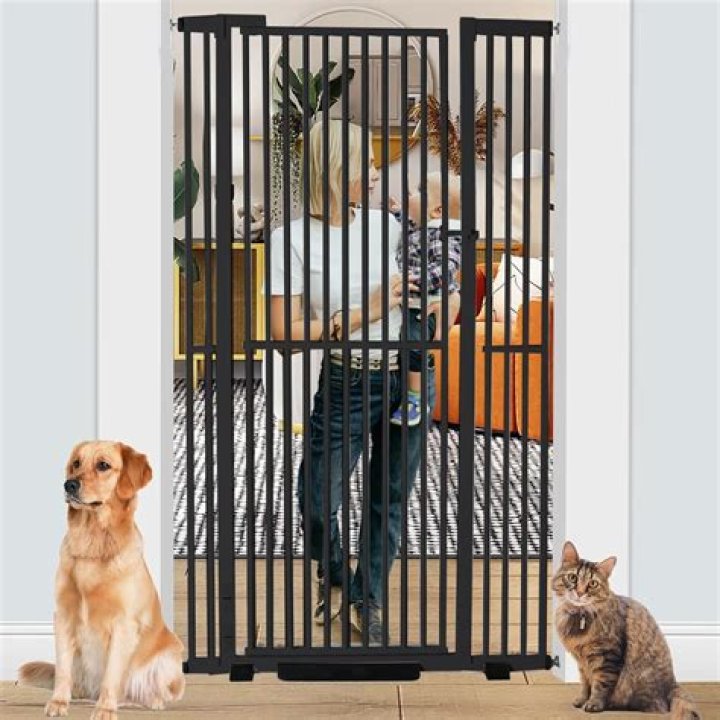 Discover The Ultimate Guide To Top Paw Extra Tall Pet Gates